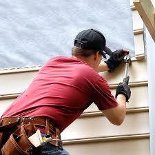 Best Historical Building Siding Restoration  in Mcgaheysville, VA